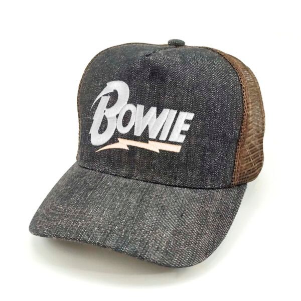 Bowie_Modelo2_Diagonal_Blanco Gorra Bowie