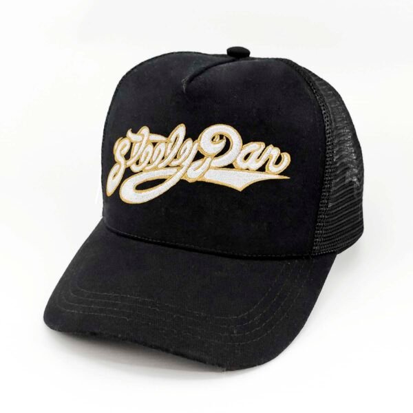 Steely-Dan_Modelo5_Diagonal Gorra Steely Dan