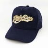 Gorra Steely Dan