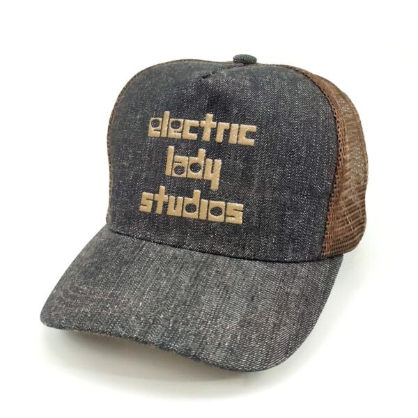 Electric-Lady-Studios_Modelo2_Diagonal_Dorado Gorra Electric Lady Studios